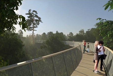 Artist impression of Treetop Walkway at Westonbirt Arboretum